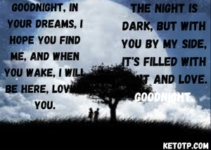 Good Night Quotes For Love