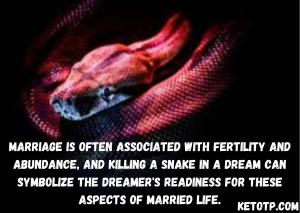 Killing a Snake in a Dream Means Marriage